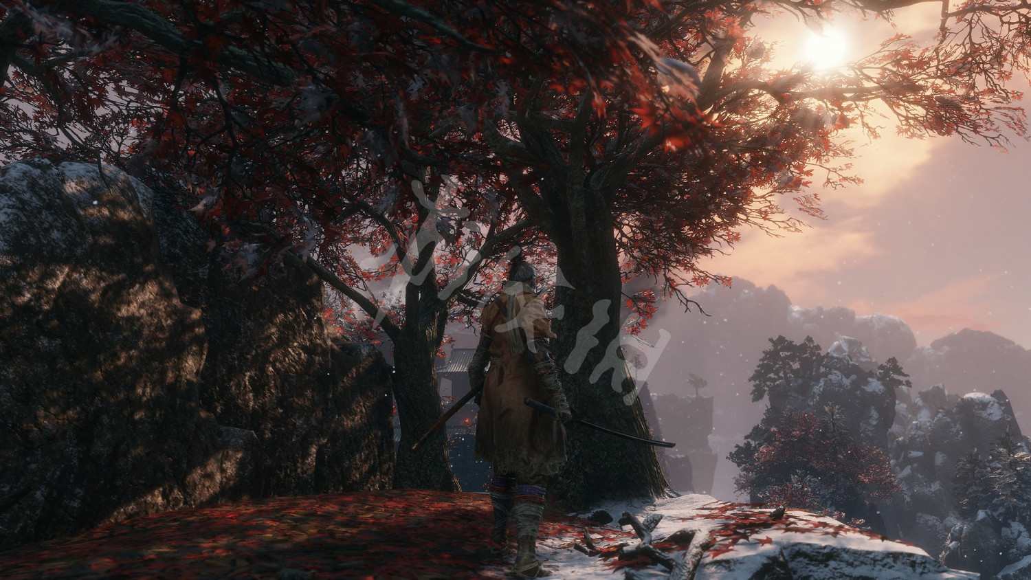 《隻狼暗影雙死》蛇眼怎麽打？蛇眼打法技巧分享