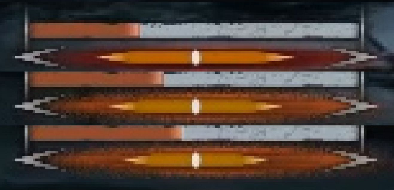 《隻狼暗影雙死》全藥種效果說明 藥品Buff衝突說明