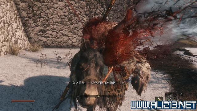 《隻狼暗影雙死》新手圖文流程攻略 中文設定+關卡流程+Boss打法攻略