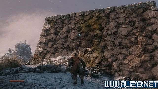 《隻狼暗影雙死》新手圖文流程攻略 中文設定+關卡流程+Boss打法攻略