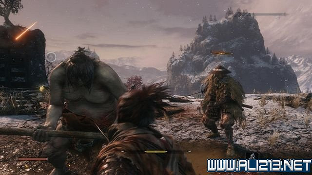 《隻狼暗影雙死》新手圖文流程攻略 中文設定+關卡流程+Boss打法攻略