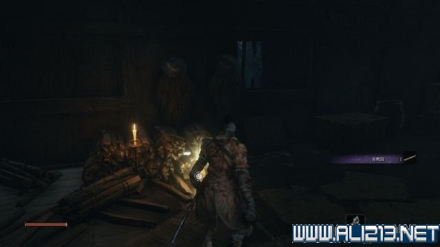 《隻狼暗影雙死》新手圖文流程攻略 中文設定+關卡流程+Boss打法攻略