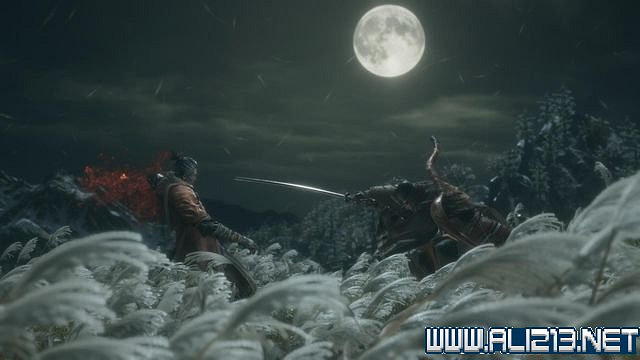 《隻狼暗影雙死》新手圖文流程攻略 中文設定+關卡流程+Boss打法攻略