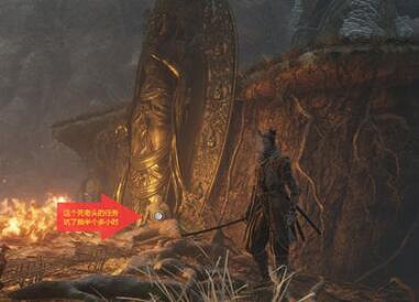 《隻狼暗影雙死》隱藏森林怎麽去水生村？隱藏森林去水生村方法