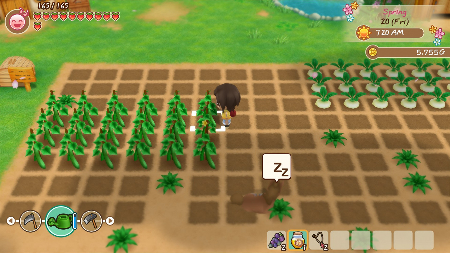 《牧場物語:重聚礦石鎮》Steam預售開啟 售280元 《牧場物語:重聚礦石鎮》Steam預售開啟 售280元