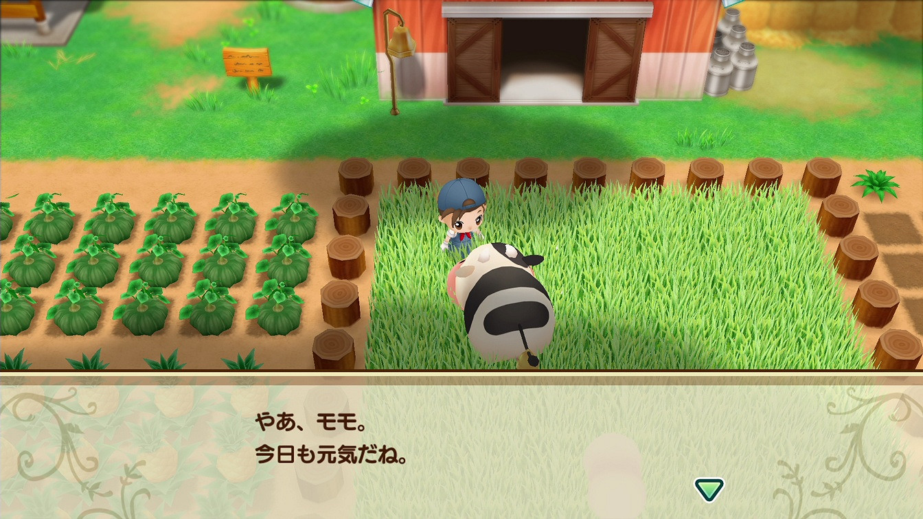 可愛的護士小姐 《牧場物語：重聚礦石鎮》結婚候補影像公開