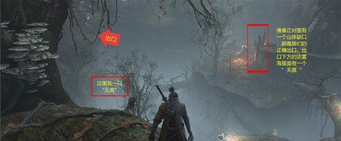 《隻狼暗影雙死》隱藏森林怎麽去水生村？隱藏森林去水生村方法