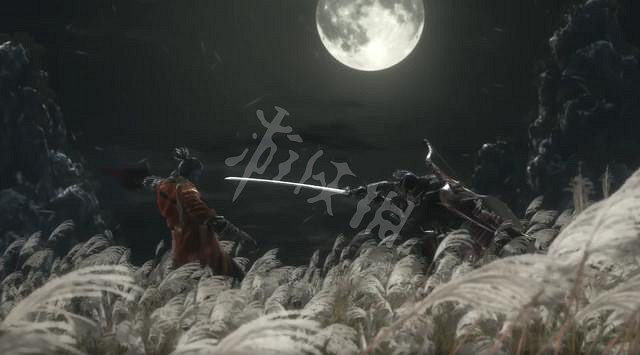 《隻狼暗影雙死》白金攻略 白金獎杯要幾周目