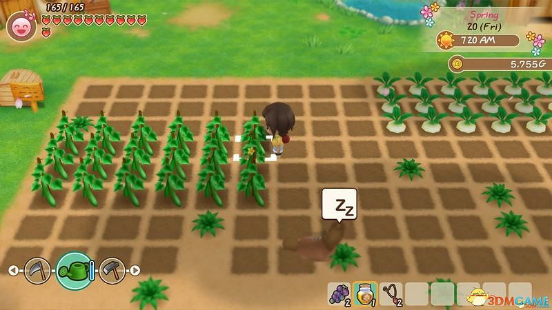 《牧場物語:重聚礦石鎮》圖文教學攻略 農場經營指南及玩法技巧 《牧場物語:重聚礦石鎮》圖文教學攻略 農場經營指南及玩法技巧
