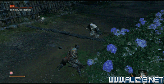 《隻狼暗影雙死》忍者獵人怎麽過 忍者獵人攻略 《隻狼暗影雙死》忍者獵人怎麽過 忍者獵人攻略