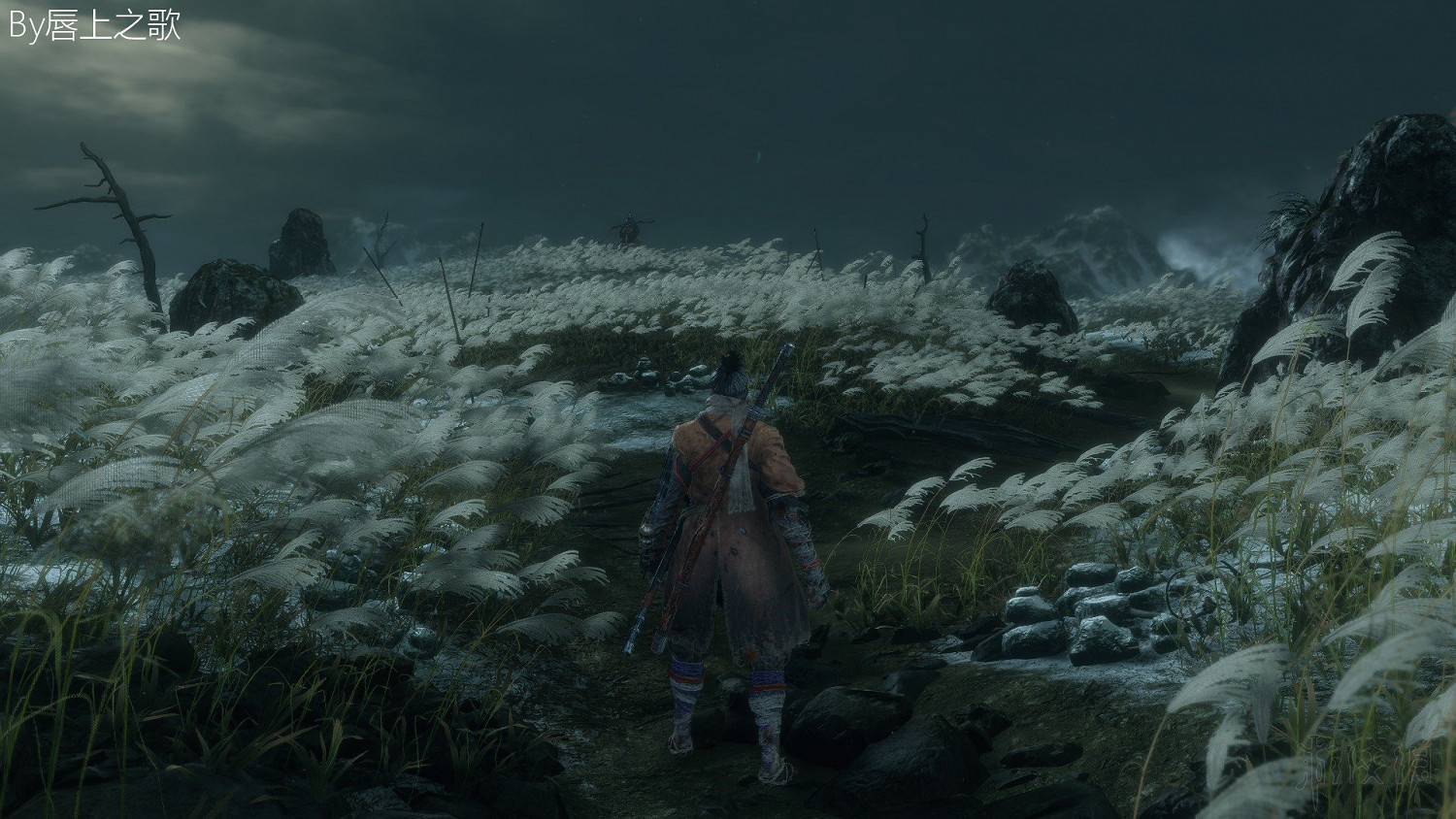 《隻狼暗影雙死》路線流程圖文詳解 隻狼一周目路線攻略詳解 《隻狼暗影雙死》路線流程圖文詳解 隻狼一周目路線攻略詳解