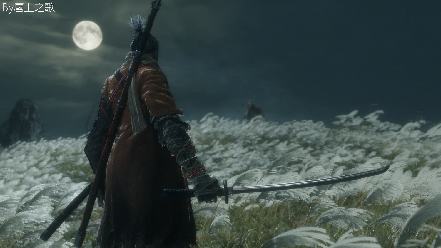 《隻狼暗影雙死》路線流程圖文詳解 隻狼一周目路線攻略詳解 《隻狼暗影雙死》路線流程圖文詳解 隻狼一周目路線攻略詳解