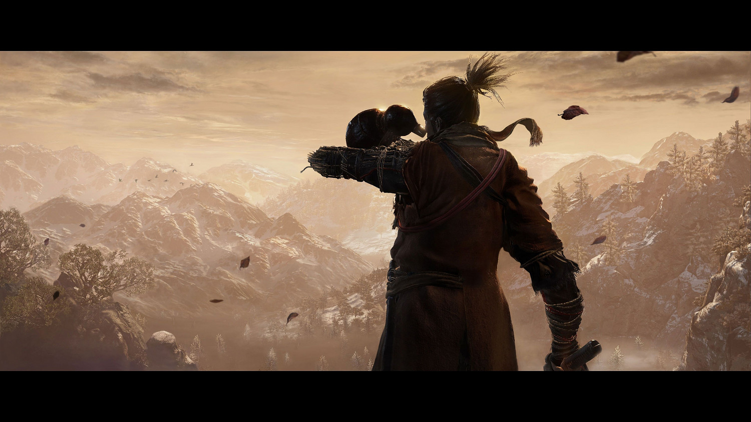 《隻狼暗影雙死》白金難嗎 白金獎杯要點分享