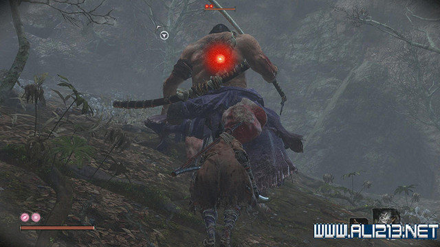 《隻狼暗影雙死》霧隱貴人路線介紹 霧隱貴人邪道玩法攻略 《隻狼暗影雙死》霧隱貴人路線介紹 霧隱貴人邪道玩法攻略