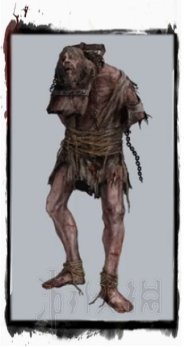 《隻狼暗影雙死》敵人圖鑒大全 全敵人背景圖鑒彙總