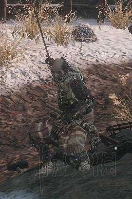 《隻狼暗影雙死》全敵人+全人物+全忍具+流派招式娛樂評價 《隻狼暗影雙死》全敵人+全人物+全忍具+流派招式娛樂評價