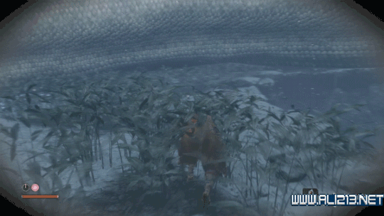 《隻狼暗影雙死》白蛇神打法分享 白蛇神邪道玩法介紹 《隻狼暗影雙死》白蛇神打法分享 白蛇神邪道玩法介紹