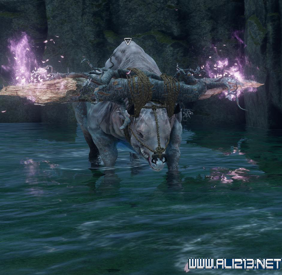 《隻狼暗影雙死》全精英怪打法分享 全精英怪逃課技巧分享 《隻狼暗影雙死》全精英怪打法分享 全精英怪逃課技巧分享