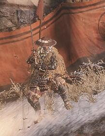 《隻狼暗影雙死》全敵人+全人物+全忍具+流派招式娛樂評價 《隻狼暗影雙死》全敵人+全人物+全忍具+流派招式娛樂評價