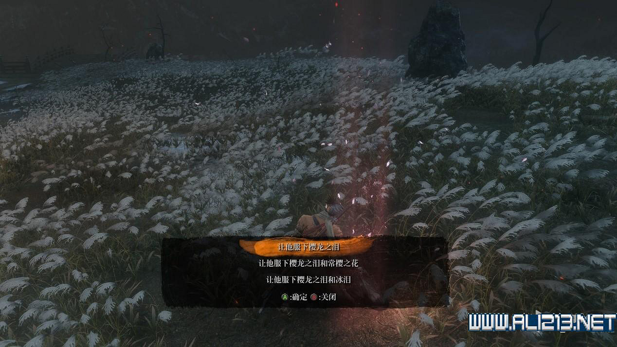 《隻狼暗影雙死》皇子背景介紹 皇子劇情說明