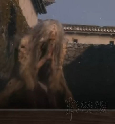 《隻狼暗影雙死》全敵人+全人物+全忍具+流派招式娛樂評價 《隻狼暗影雙死》全敵人+全人物+全忍具+流派招式娛樂評價