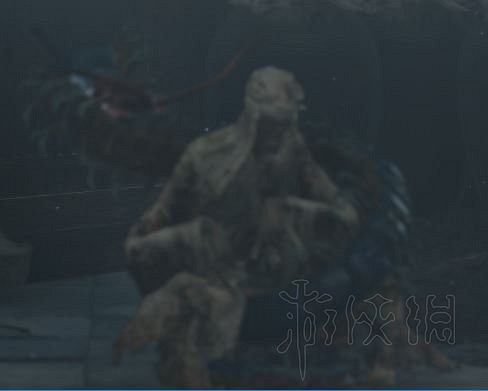 《隻狼暗影雙死》全敵人+全人物+全忍具+流派招式娛樂評價 《隻狼暗影雙死》全敵人+全人物+全忍具+流派招式娛樂評價