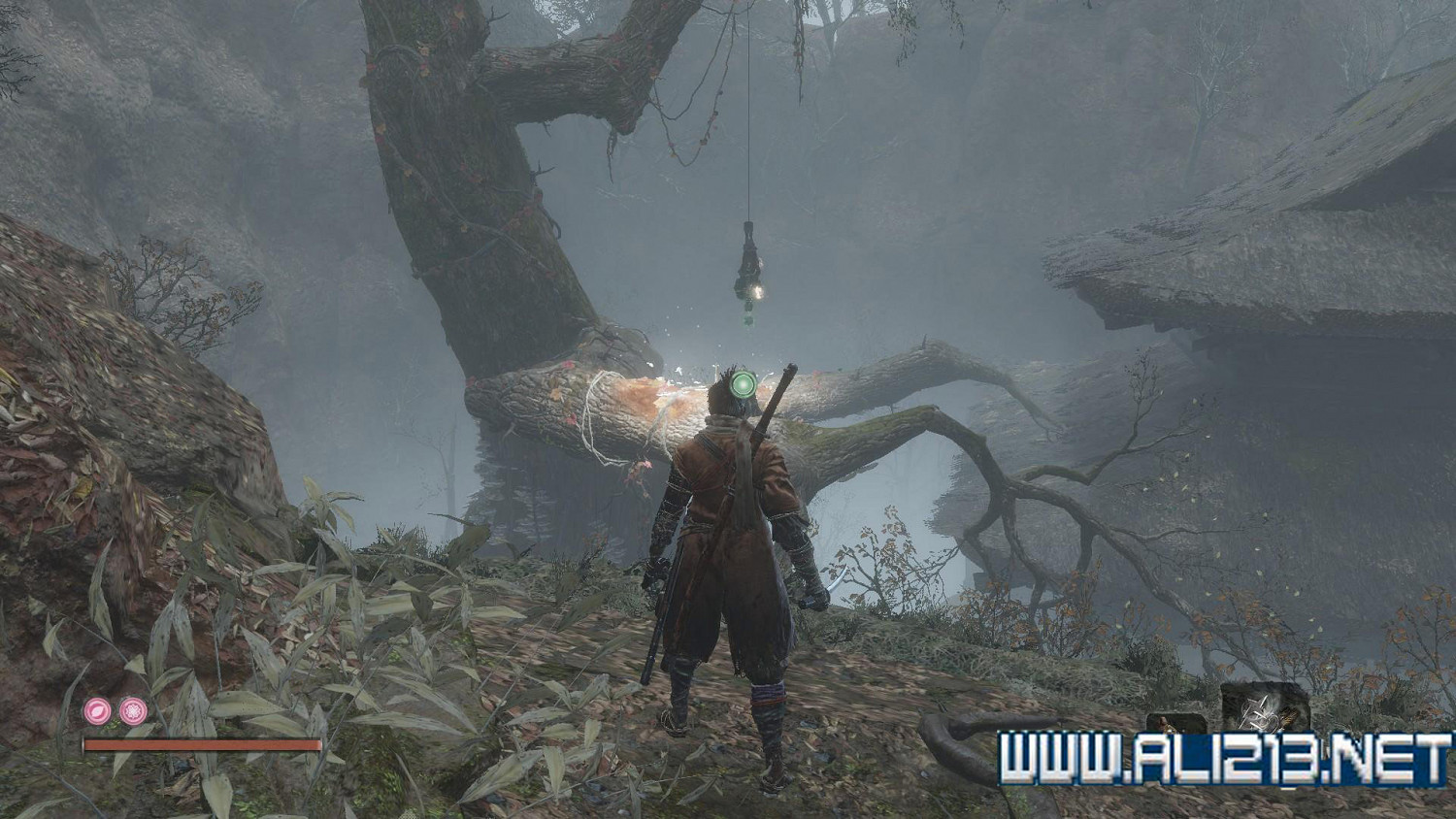 《隻狼暗影雙死》霧隱貴人路線介紹 霧隱貴人邪道玩法攻略 《隻狼暗影雙死》霧隱貴人路線介紹 霧隱貴人邪道玩法攻略