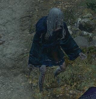 《隻狼暗影雙死》全敵人+全人物+全忍具+流派招式娛樂評價 《隻狼暗影雙死》全敵人+全人物+全忍具+流派招式娛樂評價