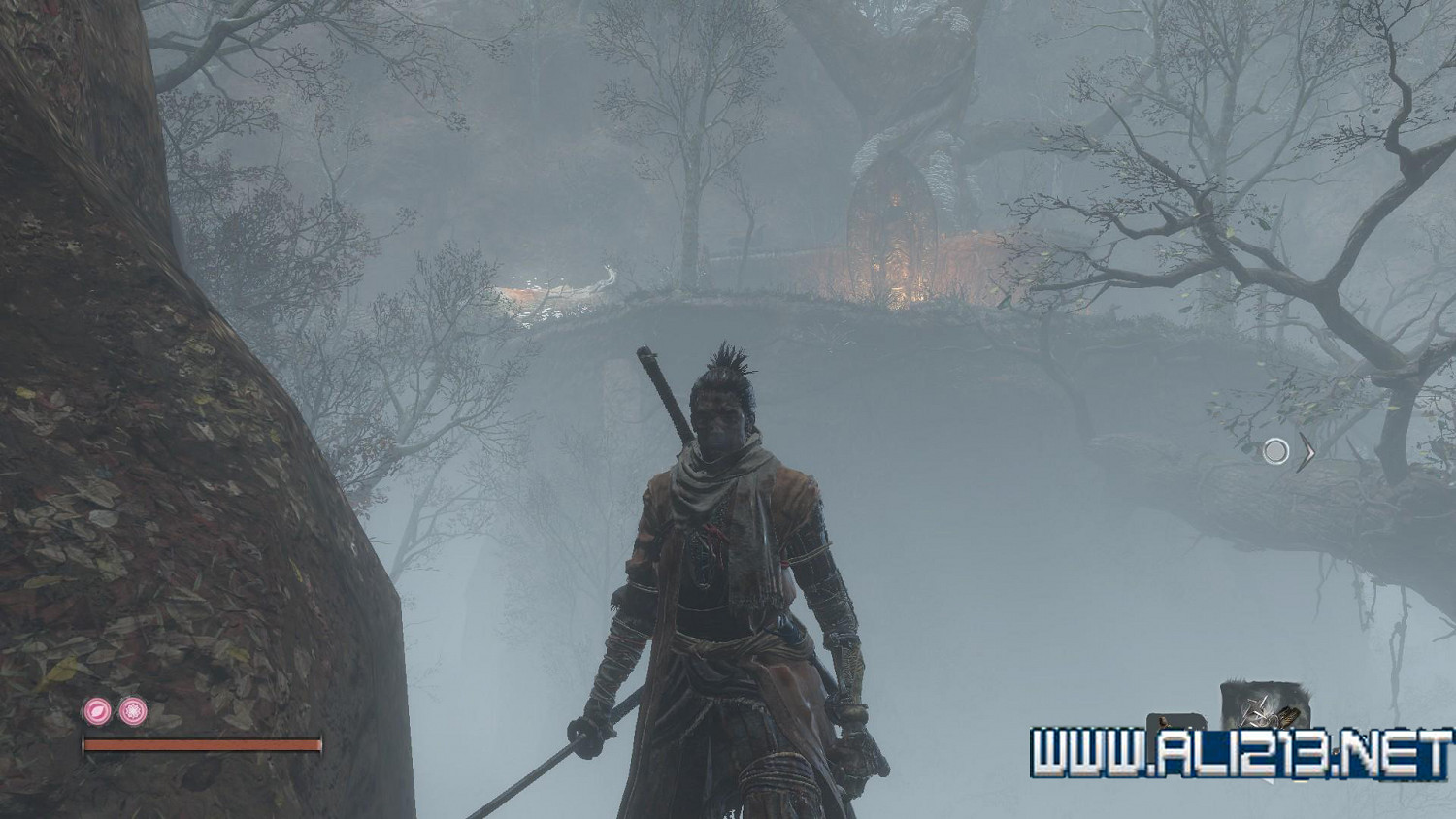 《隻狼暗影雙死》霧隱貴人路線介紹 霧隱貴人邪道玩法攻略 《隻狼暗影雙死》霧隱貴人路線介紹 霧隱貴人邪道玩法攻略