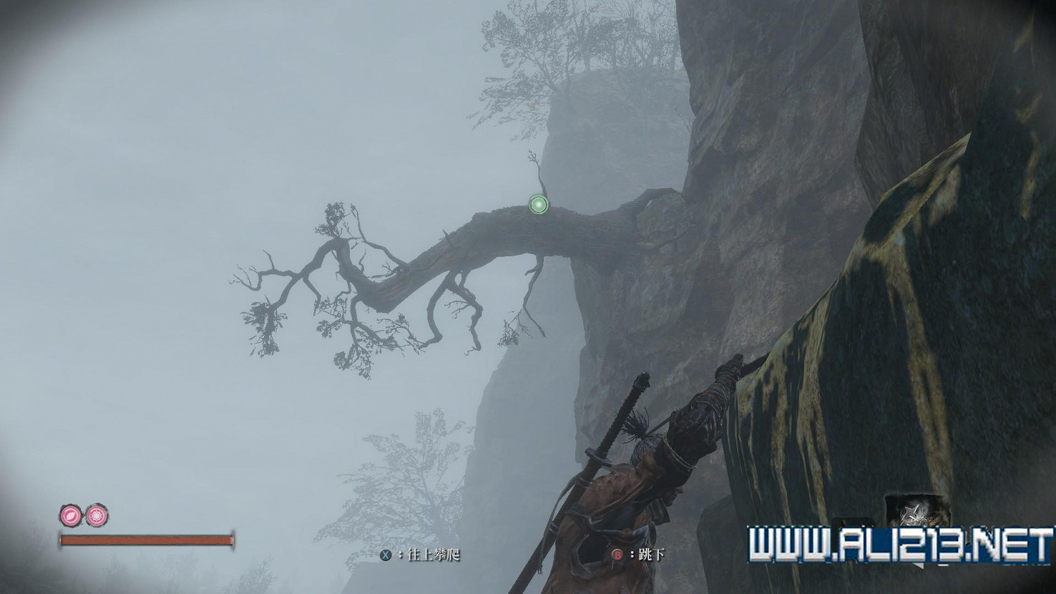 《隻狼暗影雙死》霧隱貴人路線介紹 霧隱貴人邪道玩法攻略 《隻狼暗影雙死》霧隱貴人路線介紹 霧隱貴人邪道玩法攻略