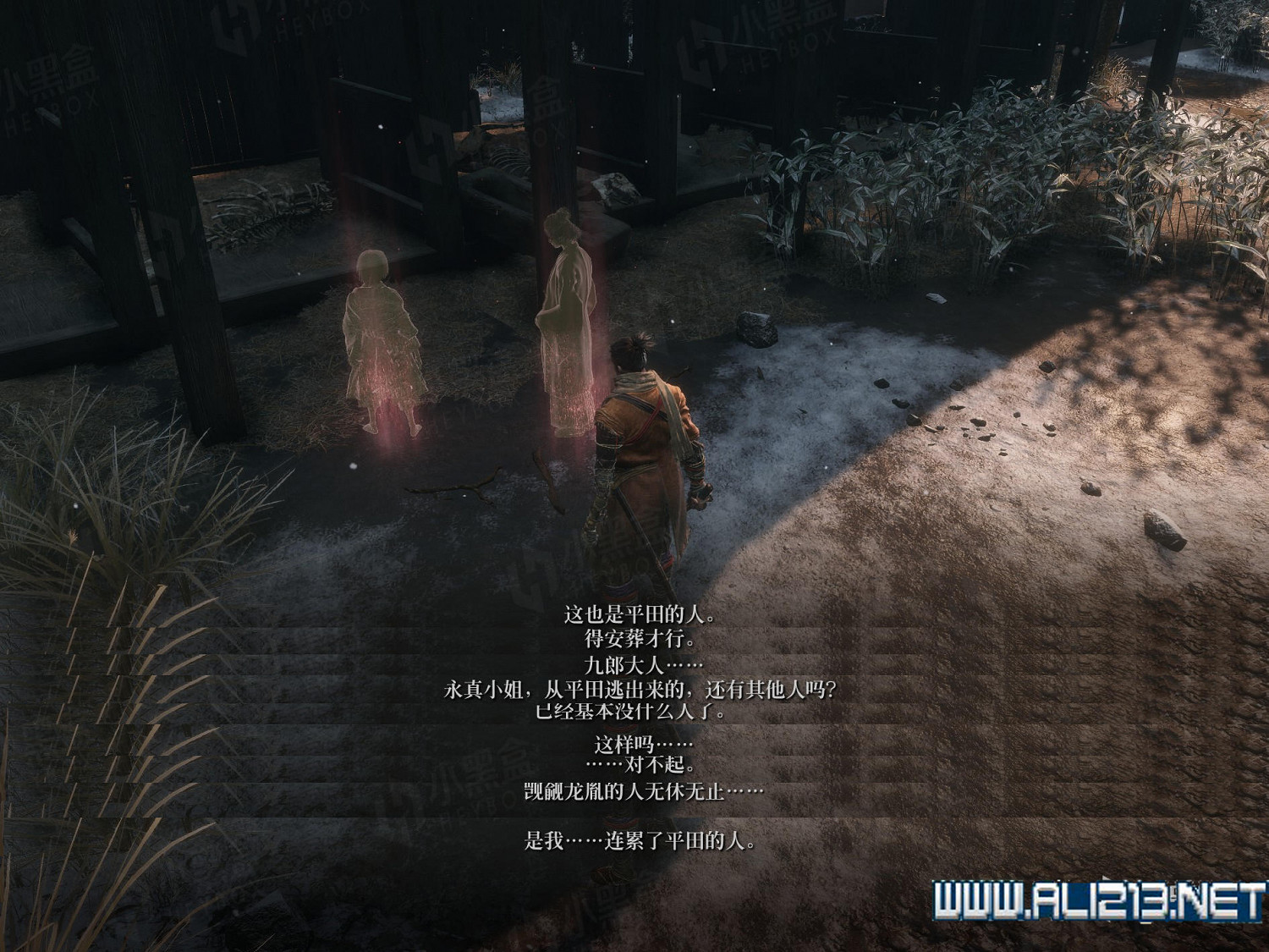 《隻狼暗影雙死》皇子背景介紹 皇子劇情說明