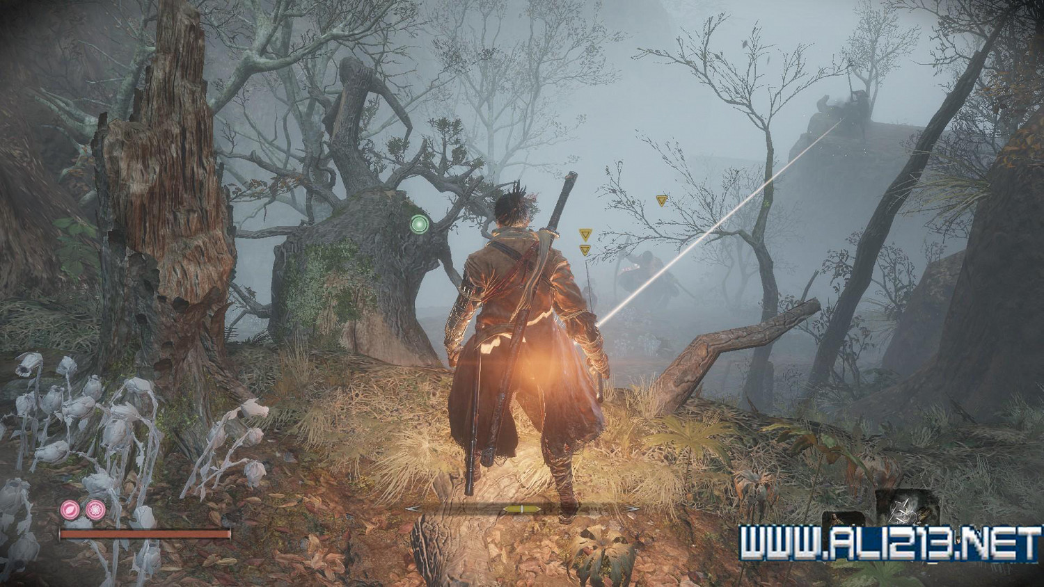 《隻狼暗影雙死》霧隱貴人路線介紹 霧隱貴人邪道玩法攻略 《隻狼暗影雙死》霧隱貴人路線介紹 霧隱貴人邪道玩法攻略