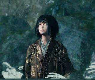 《隻狼暗影雙死》全敵人+全人物+全忍具+流派招式娛樂評價 《隻狼暗影雙死》全敵人+全人物+全忍具+流派招式娛樂評價