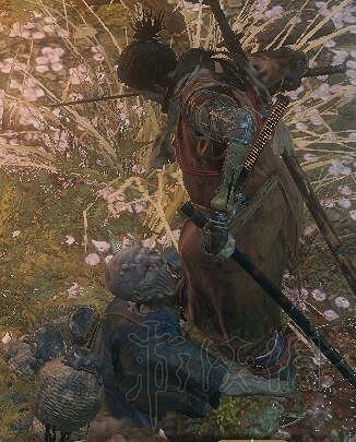 《隻狼暗影雙死》全敵人+全人物+全忍具+流派招式娛樂評價 《隻狼暗影雙死》全敵人+全人物+全忍具+流派招式娛樂評價