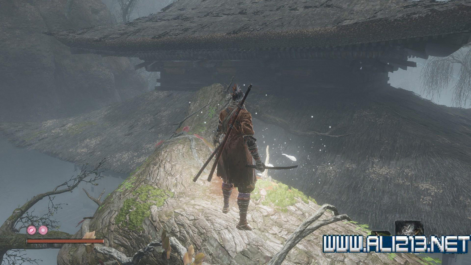 《隻狼暗影雙死》霧隱貴人路線介紹 霧隱貴人邪道玩法攻略 《隻狼暗影雙死》霧隱貴人路線介紹 霧隱貴人邪道玩法攻略