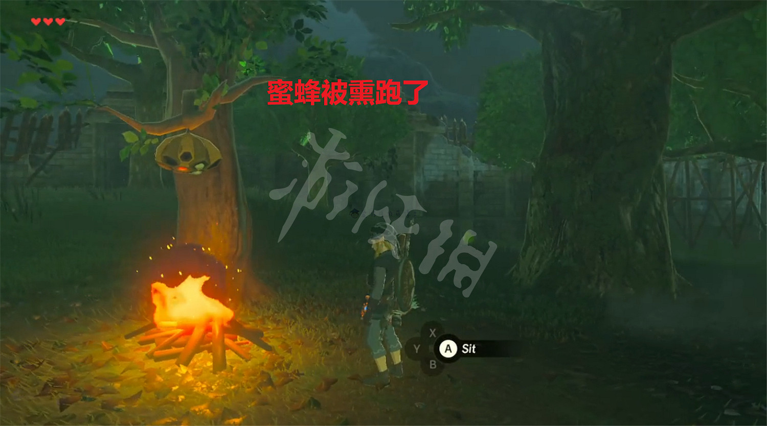 《薩爾達傳說 曠野之息》不殺生採蜜方法分享