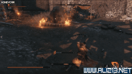 《隻狼暗影雙死》火牛招式技能分析 火牛逃課打法分享 《隻狼暗影雙死》火牛招式技能分析 火牛逃課打法分享