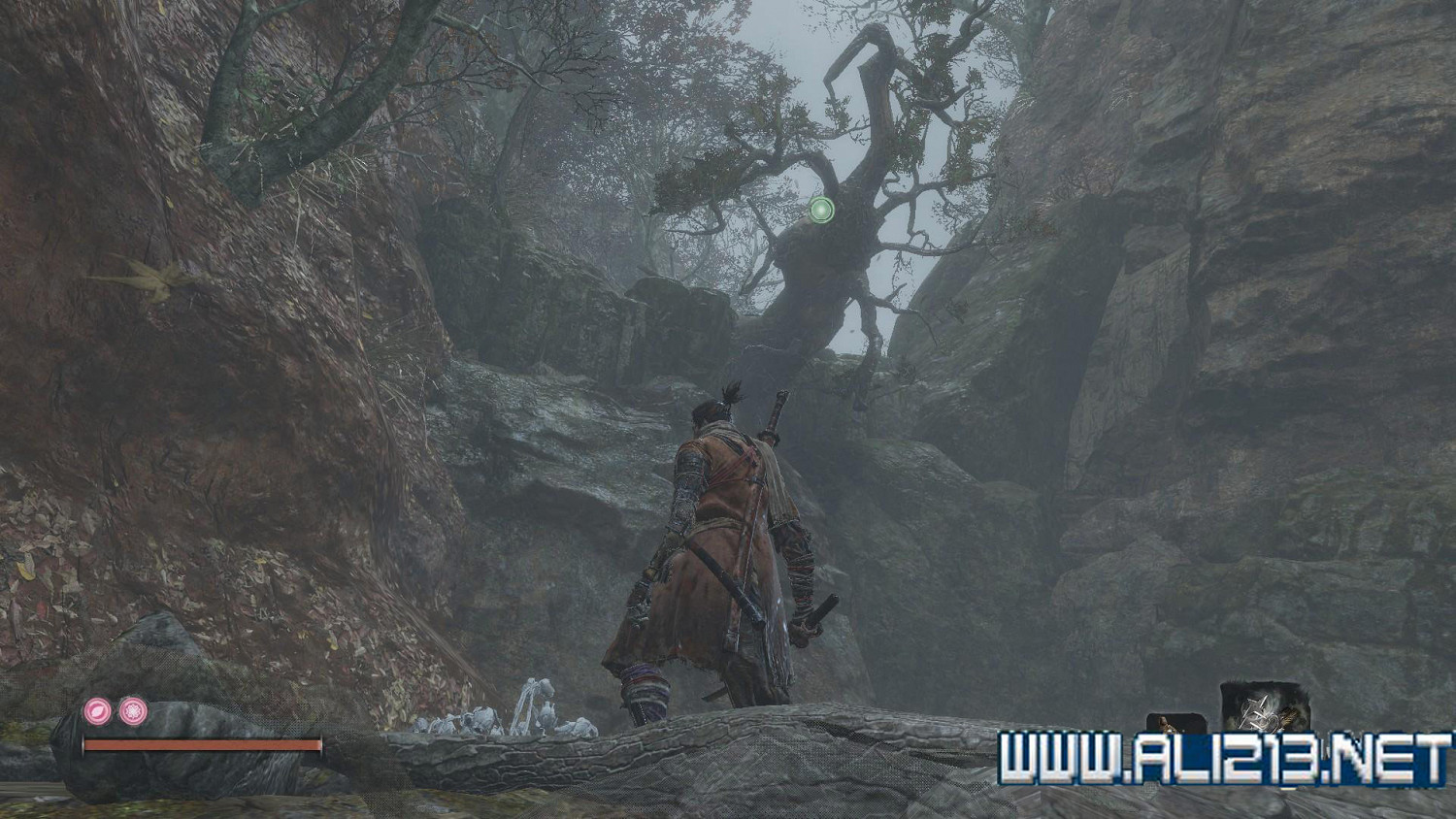 《隻狼暗影雙死》霧隱貴人路線介紹 霧隱貴人邪道玩法攻略 《隻狼暗影雙死》霧隱貴人路線介紹 霧隱貴人邪道玩法攻略