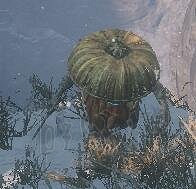 《隻狼暗影雙死》全敵人+全人物+全忍具+流派招式娛樂評價 《隻狼暗影雙死》全敵人+全人物+全忍具+流派招式娛樂評價