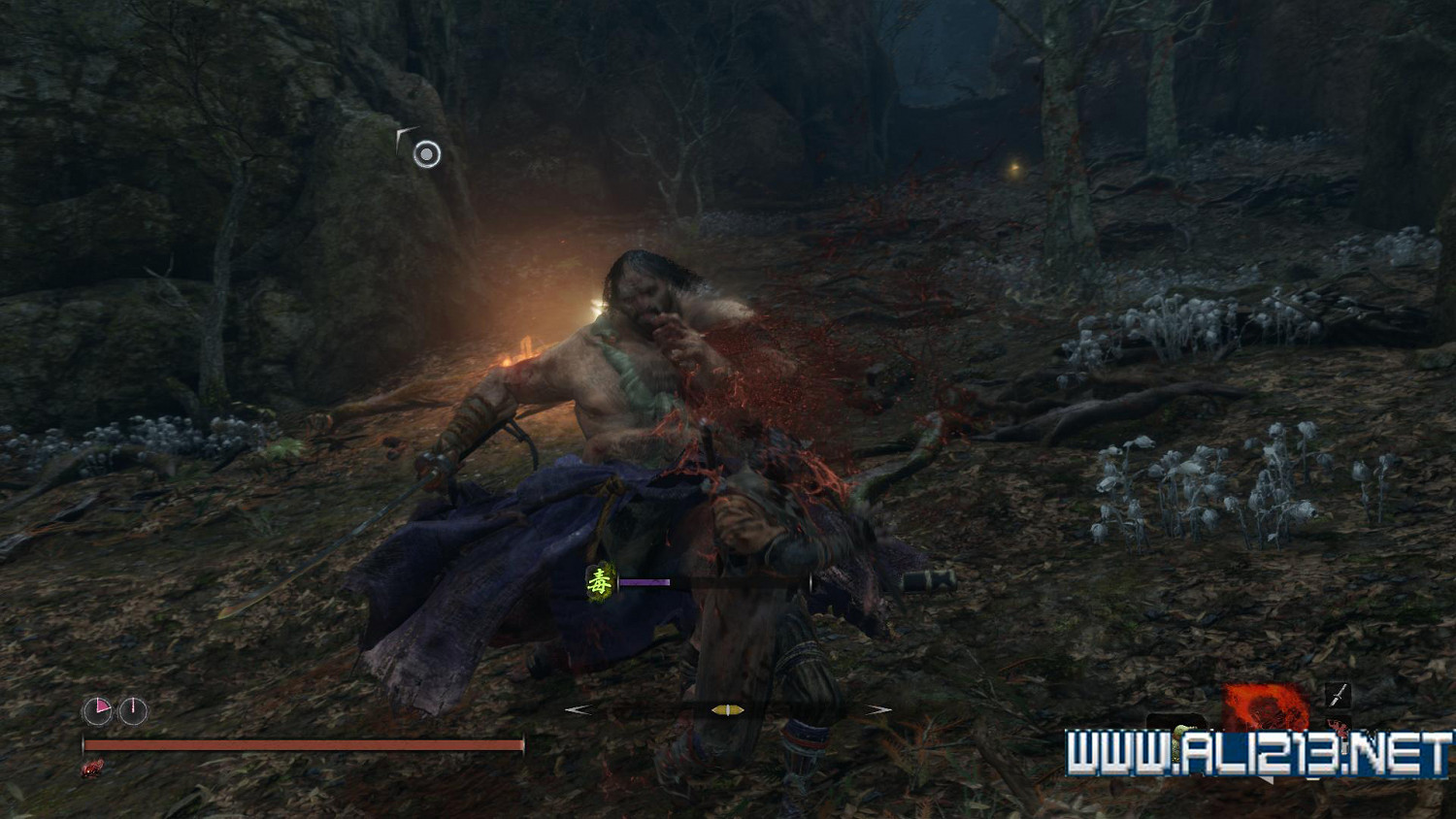 《隻狼暗影雙死》全精英怪打法分享 全精英怪逃課技巧分享 《隻狼暗影雙死》全精英怪打法分享 全精英怪逃課技巧分享