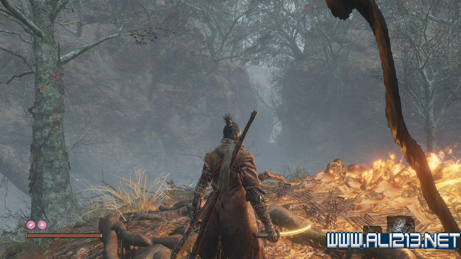 《隻狼暗影雙死》霧隱貴人路線介紹 霧隱貴人邪道玩法攻略 《隻狼暗影雙死》霧隱貴人路線介紹 霧隱貴人邪道玩法攻略