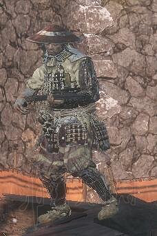 《隻狼暗影雙死》全敵人+全人物+全忍具+流派招式娛樂評價 《隻狼暗影雙死》全敵人+全人物+全忍具+流派招式娛樂評價