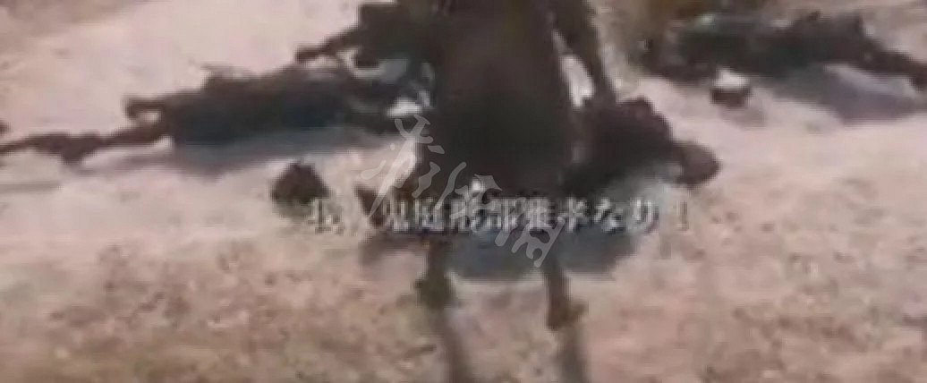 《隻狼暗影雙死》鬼庭刑部雅孝是誰 鬼庭刑部雅孝原型人物分析 《隻狼暗影雙死》鬼庭刑部雅孝是誰 鬼庭刑部雅孝原型人物分析