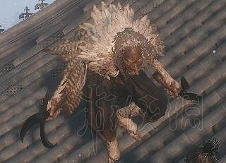 《隻狼暗影雙死》全敵人+全人物+全忍具+流派招式娛樂評價 《隻狼暗影雙死》全敵人+全人物+全忍具+流派招式娛樂評價