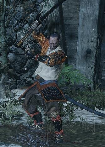 《隻狼暗影雙死》全敵人+全人物+全忍具+流派招式娛樂評價 《隻狼暗影雙死》全敵人+全人物+全忍具+流派招式娛樂評價