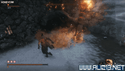 《隻狼暗影雙死》火牛招式技能分析 火牛逃課打法分享 《隻狼暗影雙死》火牛招式技能分析 火牛逃課打法分享