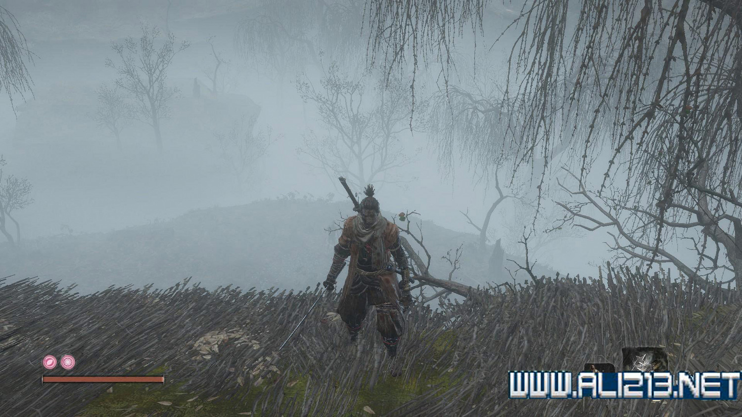 《隻狼暗影雙死》霧隱貴人路線介紹 霧隱貴人邪道玩法攻略 《隻狼暗影雙死》霧隱貴人路線介紹 霧隱貴人邪道玩法攻略