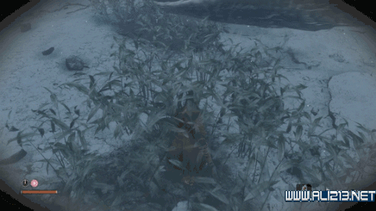 《隻狼暗影雙死》白蛇神打法分享 白蛇神邪道玩法介紹 《隻狼暗影雙死》白蛇神打法分享 白蛇神邪道玩法介紹