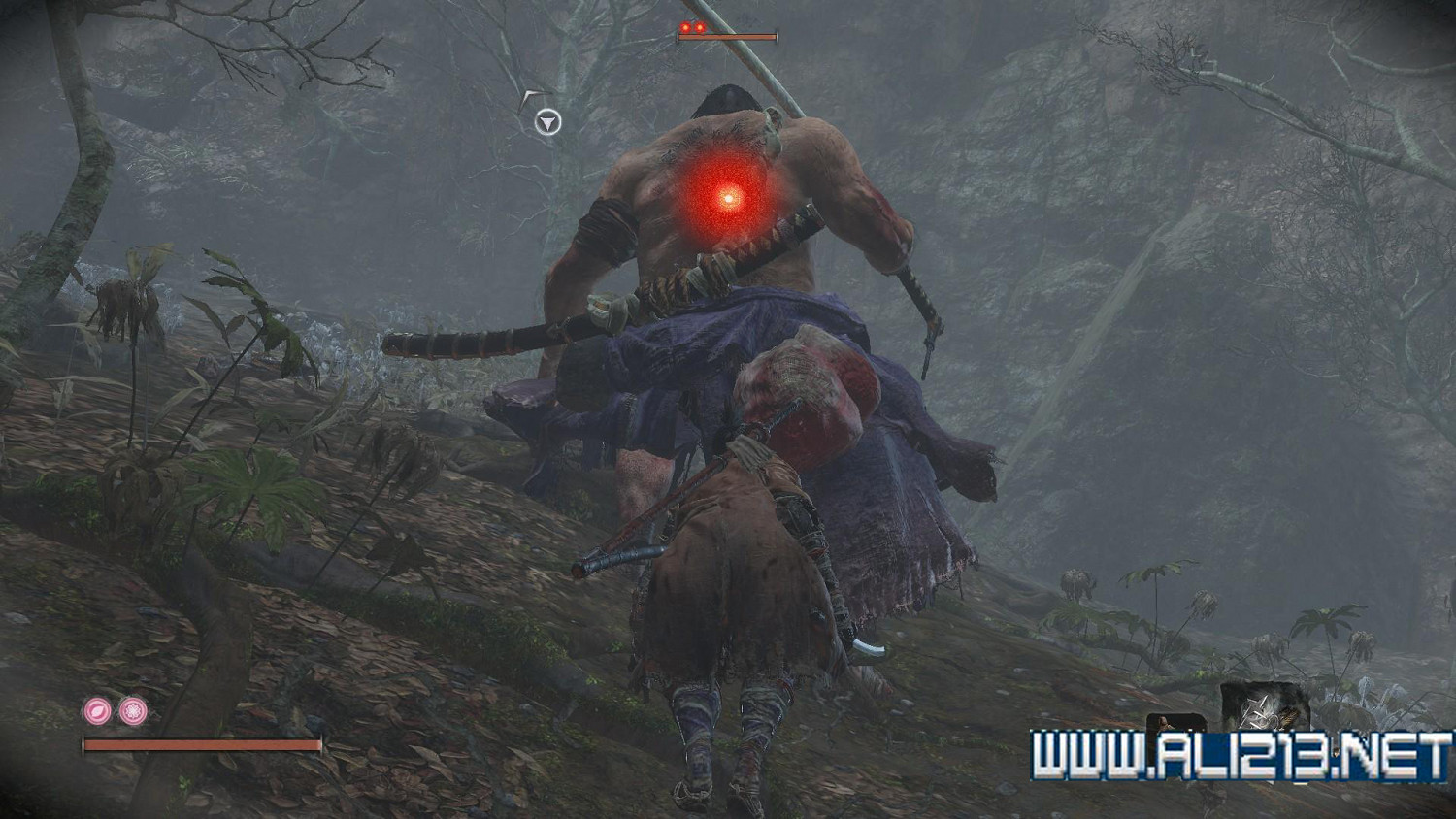 《隻狼暗影雙死》霧隱貴人路線介紹 霧隱貴人邪道玩法攻略 《隻狼暗影雙死》霧隱貴人路線介紹 霧隱貴人邪道玩法攻略