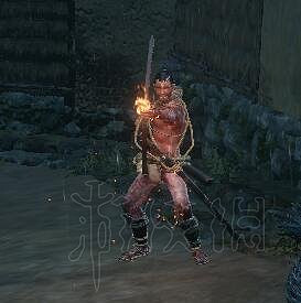 《隻狼暗影雙死》全敵人+全人物+全忍具+流派招式娛樂評價 《隻狼暗影雙死》全敵人+全人物+全忍具+流派招式娛樂評價